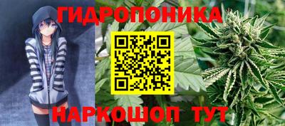2c-b Кинель